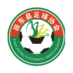 百色市田东县队